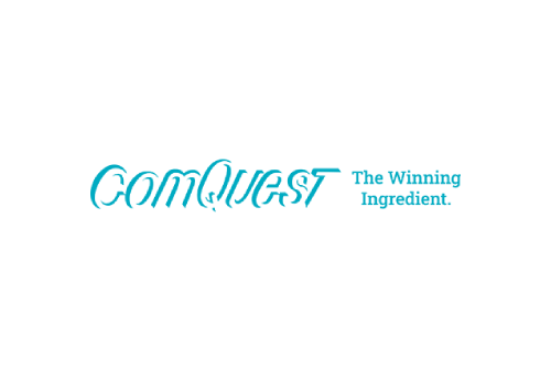 ComQuest